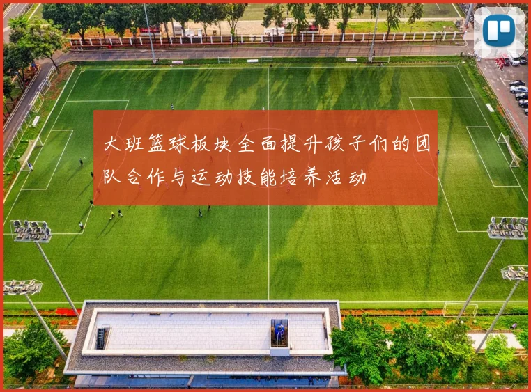 大班篮球板块全面提升孩子们的团队合作与运动技能培养活动