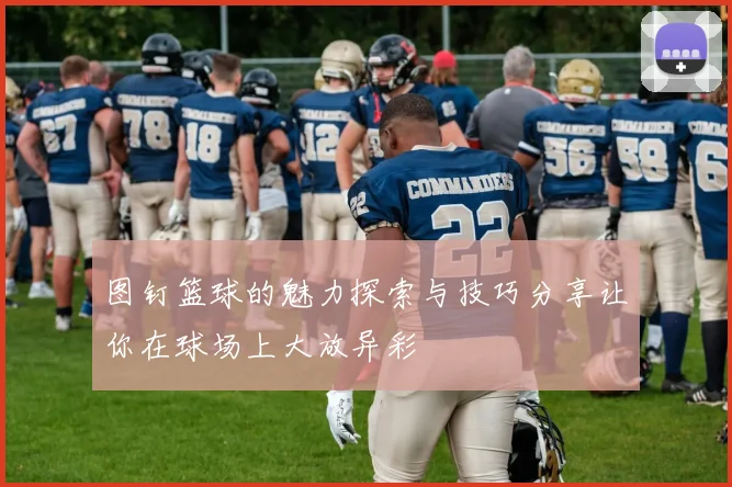 图钉篮球的魅力探索与技巧分享让你在球场上大放异彩