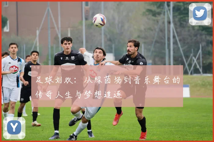 足球刘欢：从绿茵场到音乐舞台的传奇人生与梦想追逐