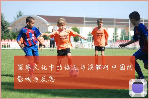 篮球文化中的偏见与误解对中国的影响与反思