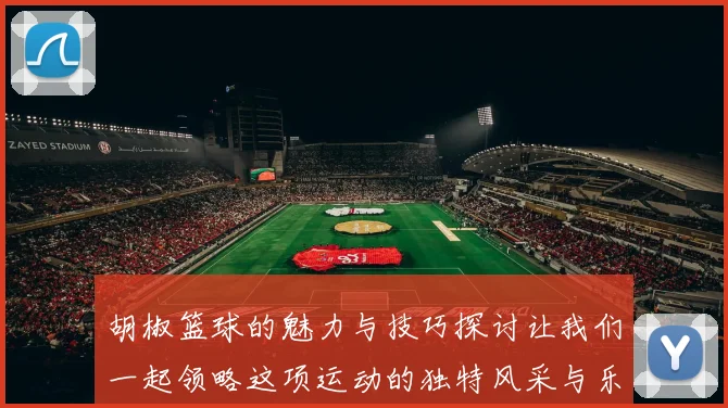 胡椒篮球的魅力与技巧探讨让我们一起领略这项运动的独特风采与乐趣